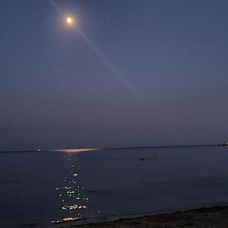 Le Tamaya Plage Charmant T2 En Rez De Jardin A 2 Pas D Une Belle Plage De Toutes Commodites Et Centre Ville Port Cavalaire-sur-Mer Exteriér fotografie