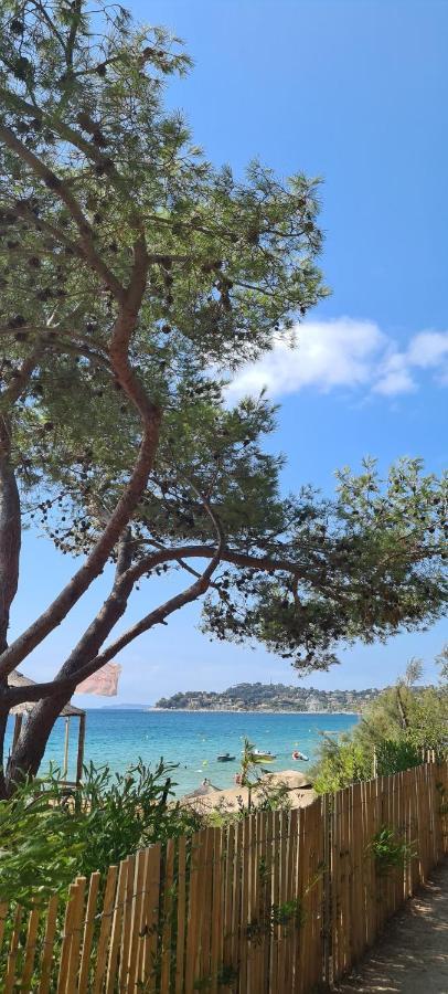Le Tamaya Plage Charmant T2 En Rez De Jardin A 2 Pas D Une Belle Plage De Toutes Commodites Et Centre Ville Port Cavalaire-sur-Mer Exteriér fotografie